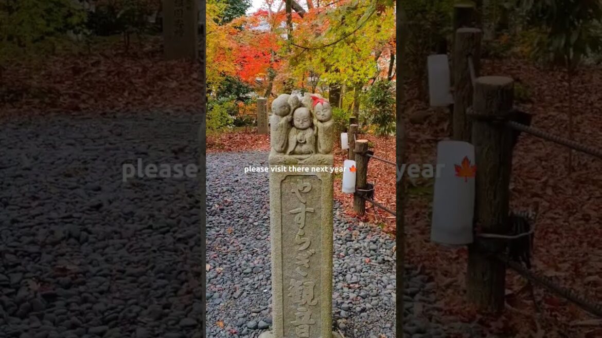 KYOTO Autumn Leaves/Eikando Temple👘Japan Travel  #shorts KYOTO Autumn Leaves/Eikando Temple👘Japan Travel  #shorts