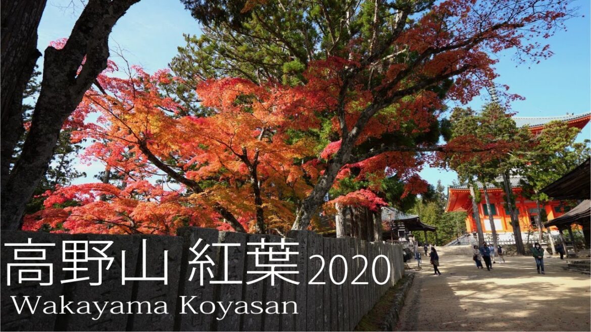 【4K】和歌山 高野山の紅葉2020　KOYASAN Autumn leaves