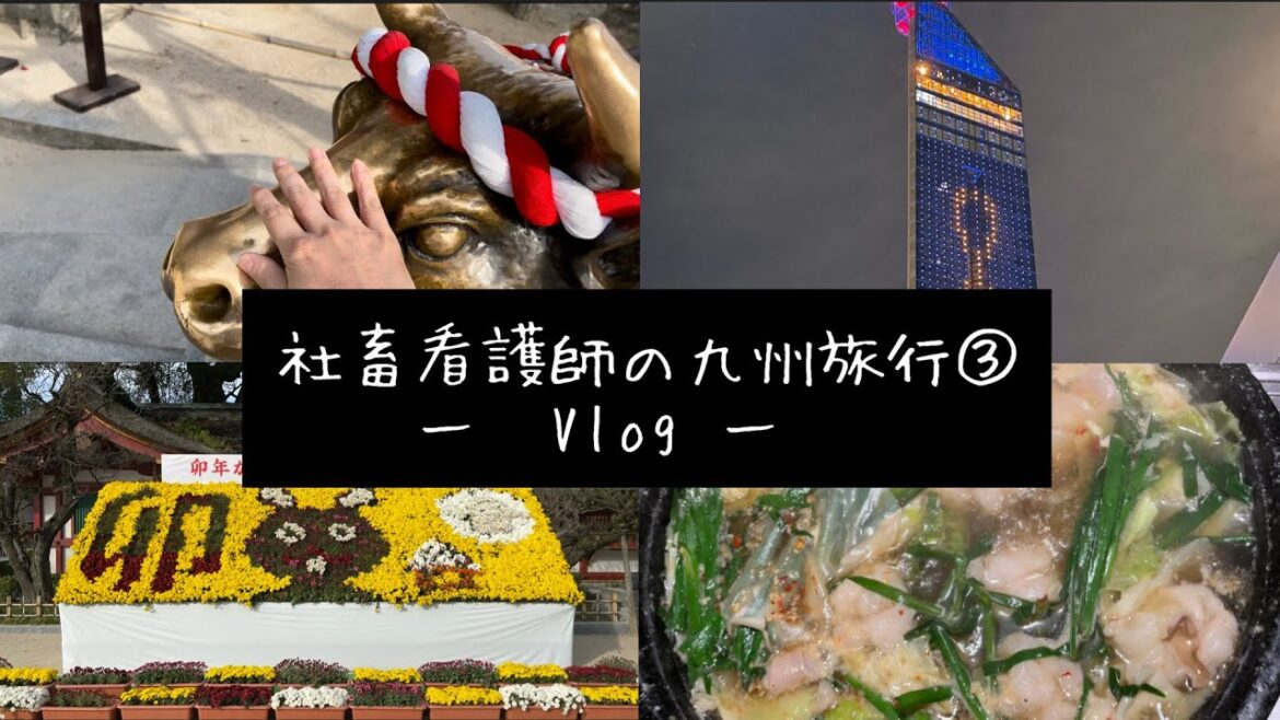 社畜看護師の旅行③〜福岡ならもつ鍋に限るたい‼️太宰府天満宮もあるよ編〜 社畜看護師の旅行③〜福岡ならもつ鍋に限るたい‼️太宰府天満宮もあるよ編〜