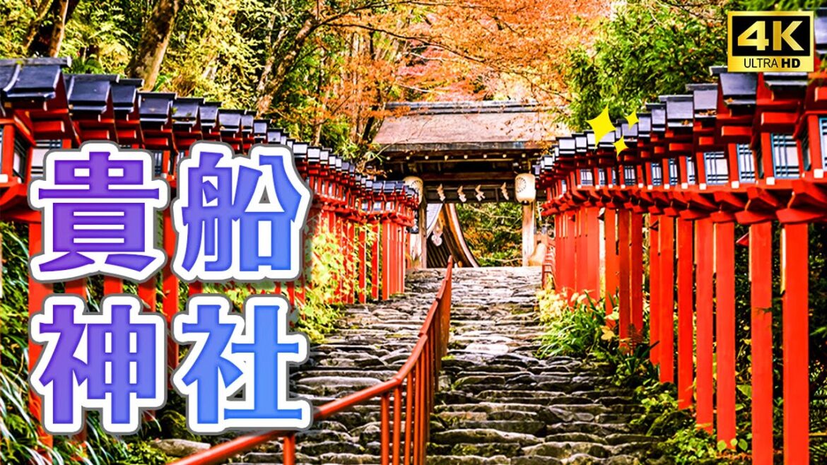 2022京都紅葉現況🍁貴船神社紅葉燈籠祭、叡山電鐵紅葉隧道、鞍馬貴船一日遊｜關西京都自由行・日本旅遊4K VLOG