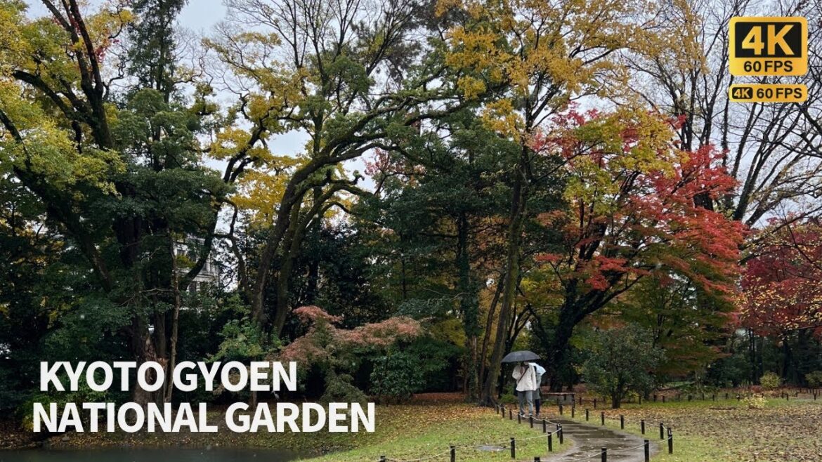 [4K]Autumn leaves of Kyoto Gyoen National Garden/京都御苑 [Japan 2022]
