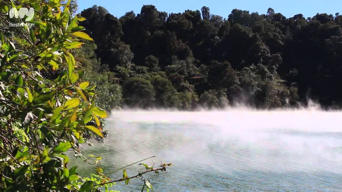 Rainbow Mountain Scenic Reserve, Rotorua Rainbow Mountain Scenic Reserve, Rotorua