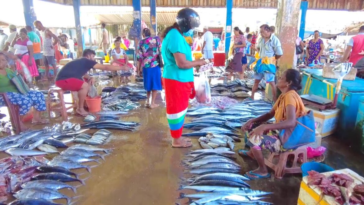 Fresh Seafood Market | Halawatha Fish Market