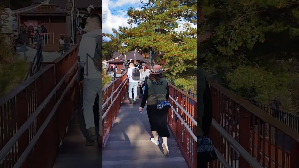 20221102 河口湖天上山公園拍攝富士山與河口湖