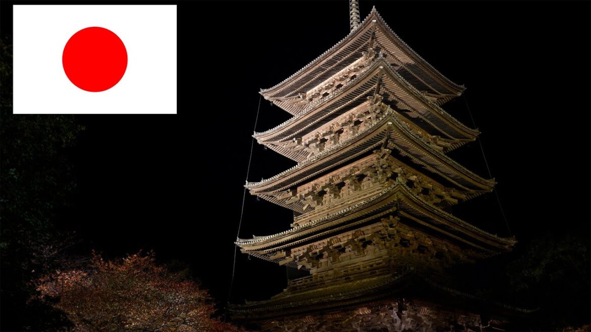 Toji｜Kyoto｜light autumn leaves up｜One of my favorite light-ups