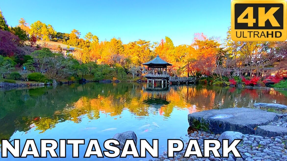 [4K] Beautiful Naritasan Park In Narita Chiba Japan | Big Koi Fish In Japanese Park | Japan Walk