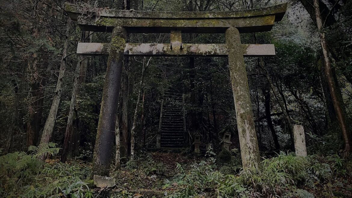 【廃神社】鳥居の先は…現実世界と異世界の狭間 / 異次元から帰還した男の末路 / 神隠しに遭いそうな廃墟スポット / 怖い話 【廃神社】鳥居の先は…現実世界と異世界の狭間 / 異次元から帰還した男の末路 / 神隠しに遭いそうな廃墟スポット / 怖い話