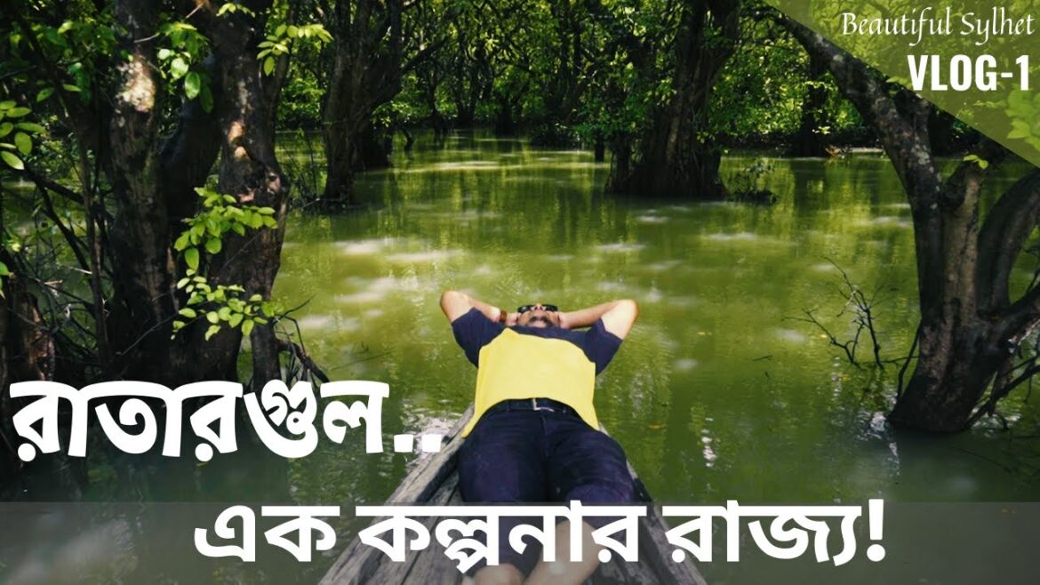 RATARGUL SWAMP FOREST, a Kingdom of Imagination! RATARGUL SWAMP FOREST, a Kingdom of Imagination!