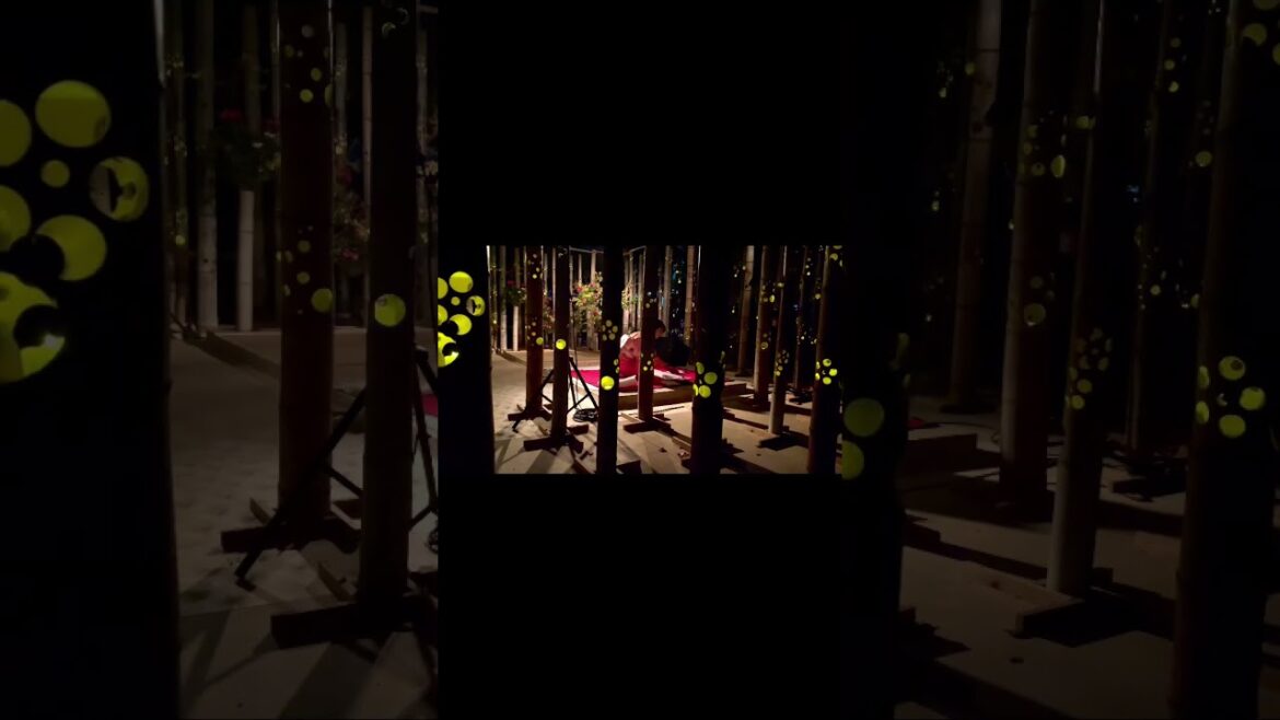 Japanese scenery.小倉城竹あかり。