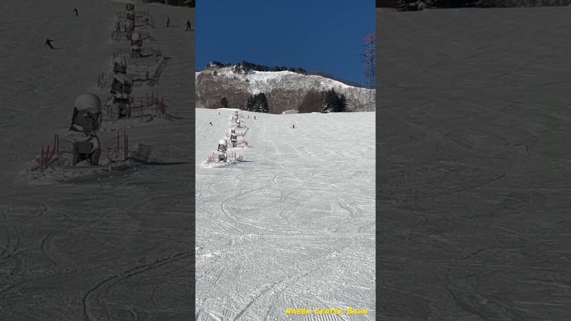 Naeba Center Bahn, 苗場正面バーン