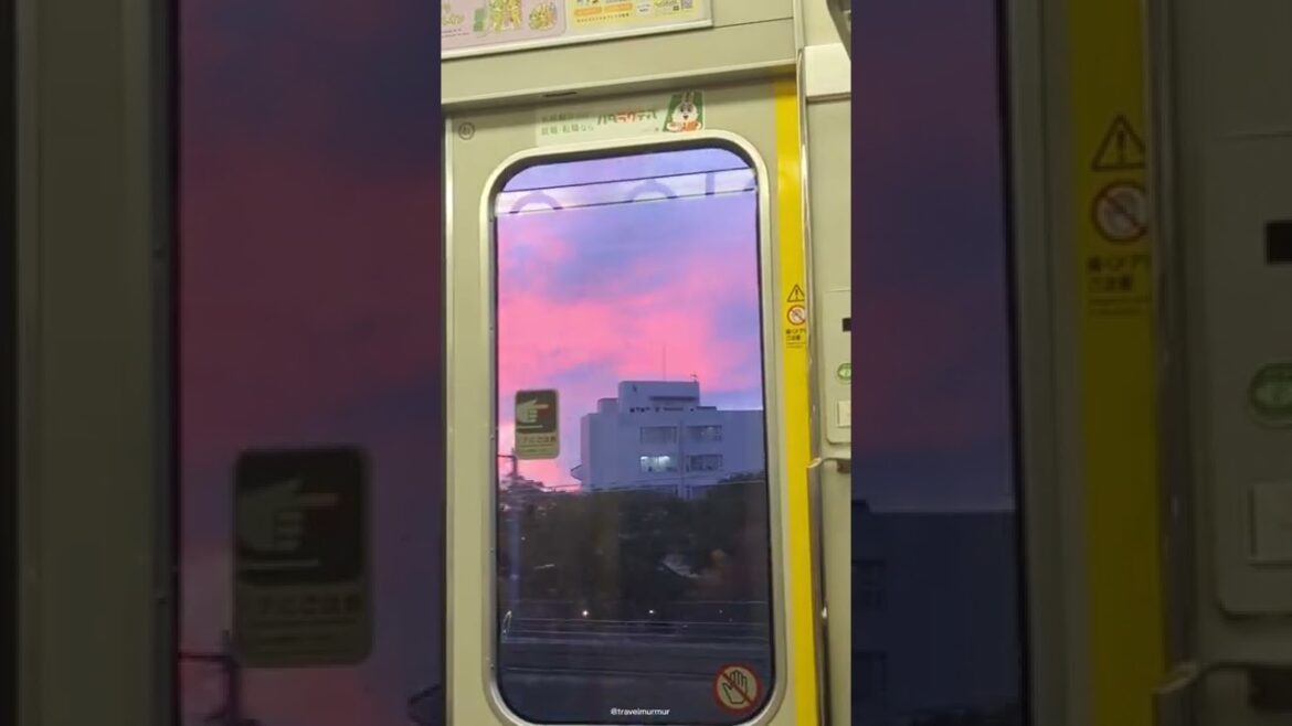 POV: you're on a train to Osaka at sunset 🌇 #shorts #japan