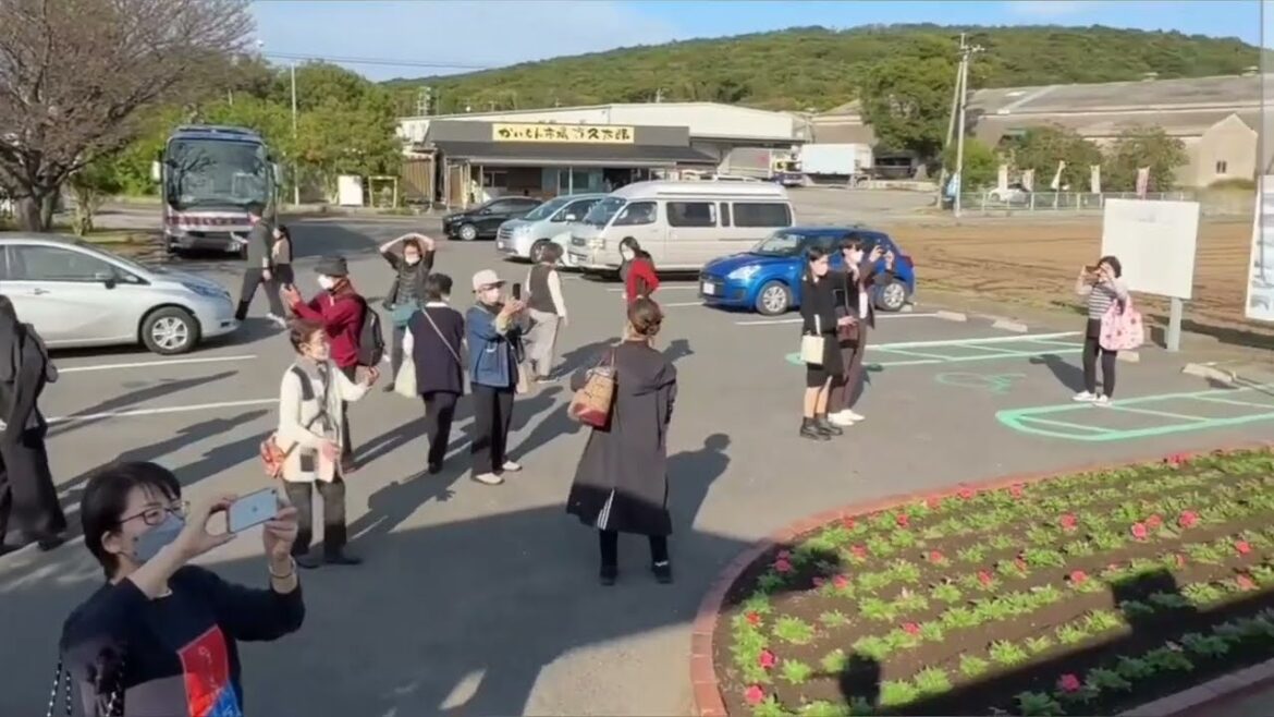 INDIAN IN JAPAN | VISIT AFTER COVID IN JAPAN #nomadshubham #nomadshubham #travel #japan #trending