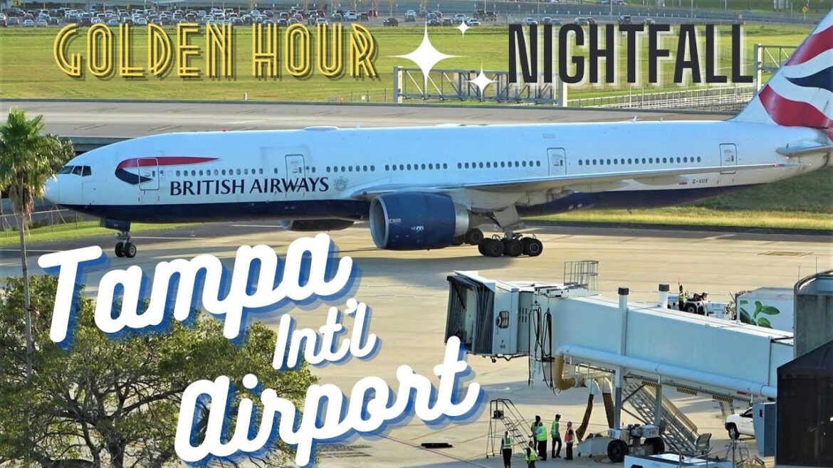 (4K) GOLDEN HOUR INTO THE DARK | PLANE SPOTTING | TAMPA INTL AIRPORT-TPA 12/03/22.