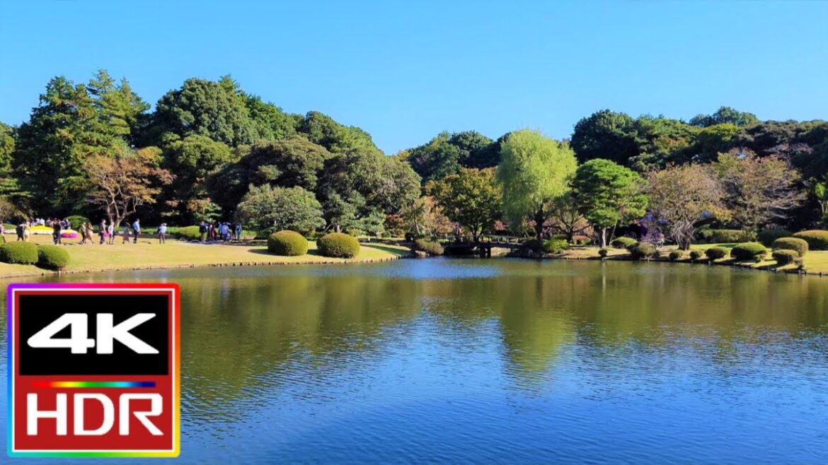 Shinjuku Gyoen Park Walking Tour [4K HDR] 新宿御苑 🌳🍂