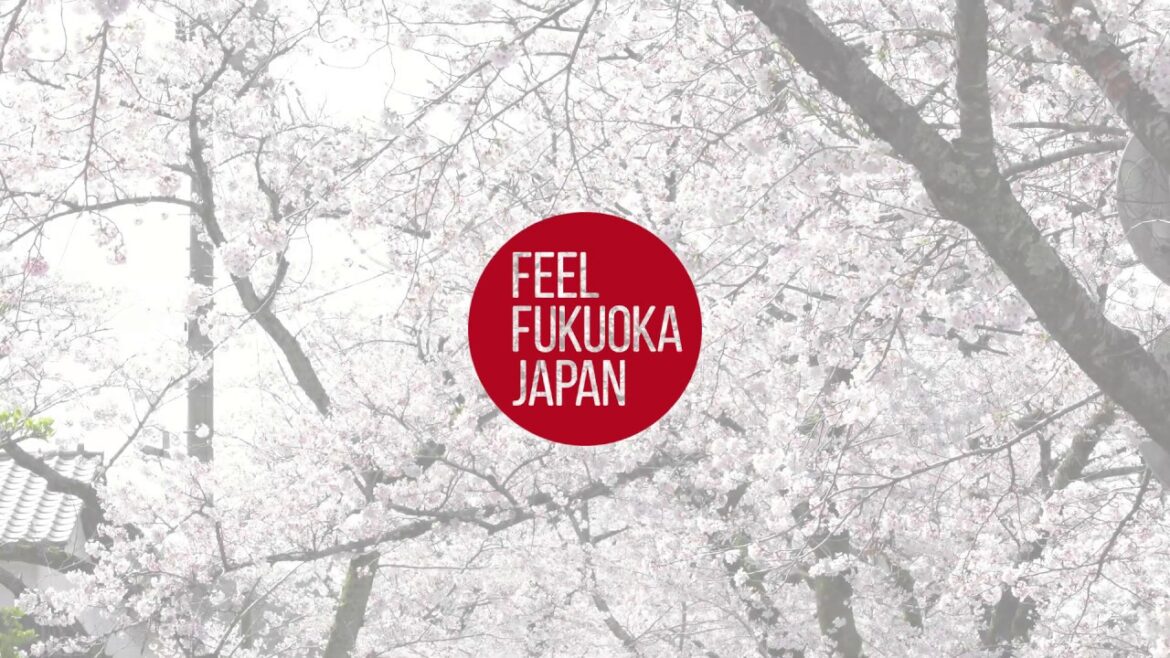 Don’t miss these top 5 cherry blossom viewing spots in Fukuoka this year! (4K)