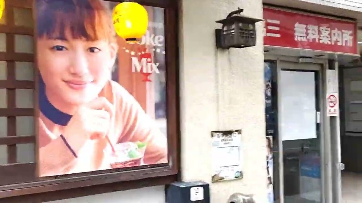 Nightlife Quarter PART 2 | Street Walk Japan | Real Life #life #real #walking #street #japan