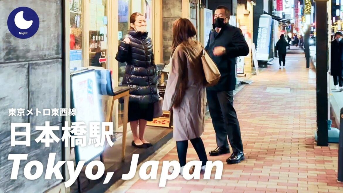⁴ᴷ Japan: Nihombashi Station / Tokyo Metro Tozai Line : Tokyo Walking Tour (December, 2022)