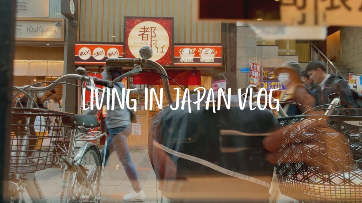 Living in Japan I VLOG I Picnic in Osaka I Doctor check up I Buying Christmas tree