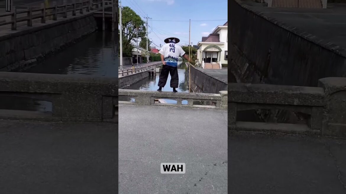 canal boat sailing in yanagawa japan #shorts #japan #shortstext canal boat sailing in yanagawa japan #shorts #japan #shortstext