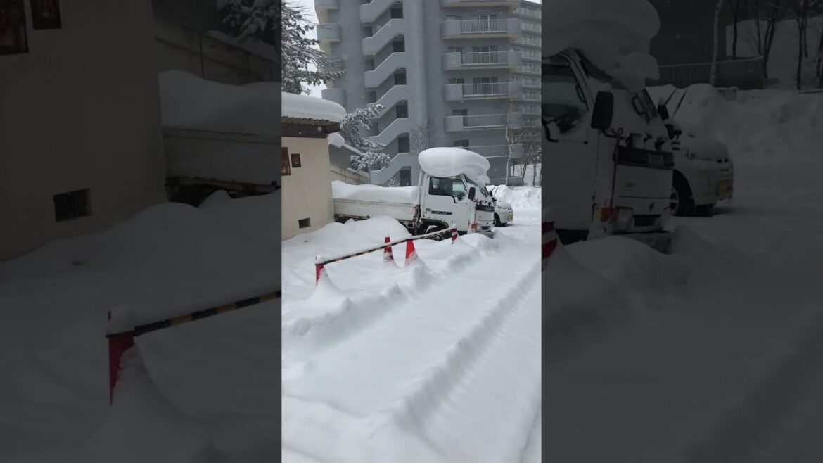 Winter in Japan