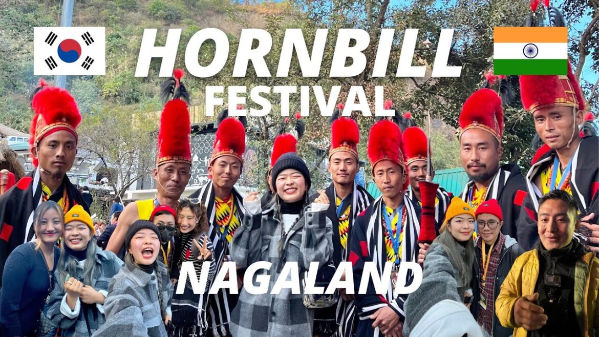 Hornbill Festival! I’m here 🐒✨