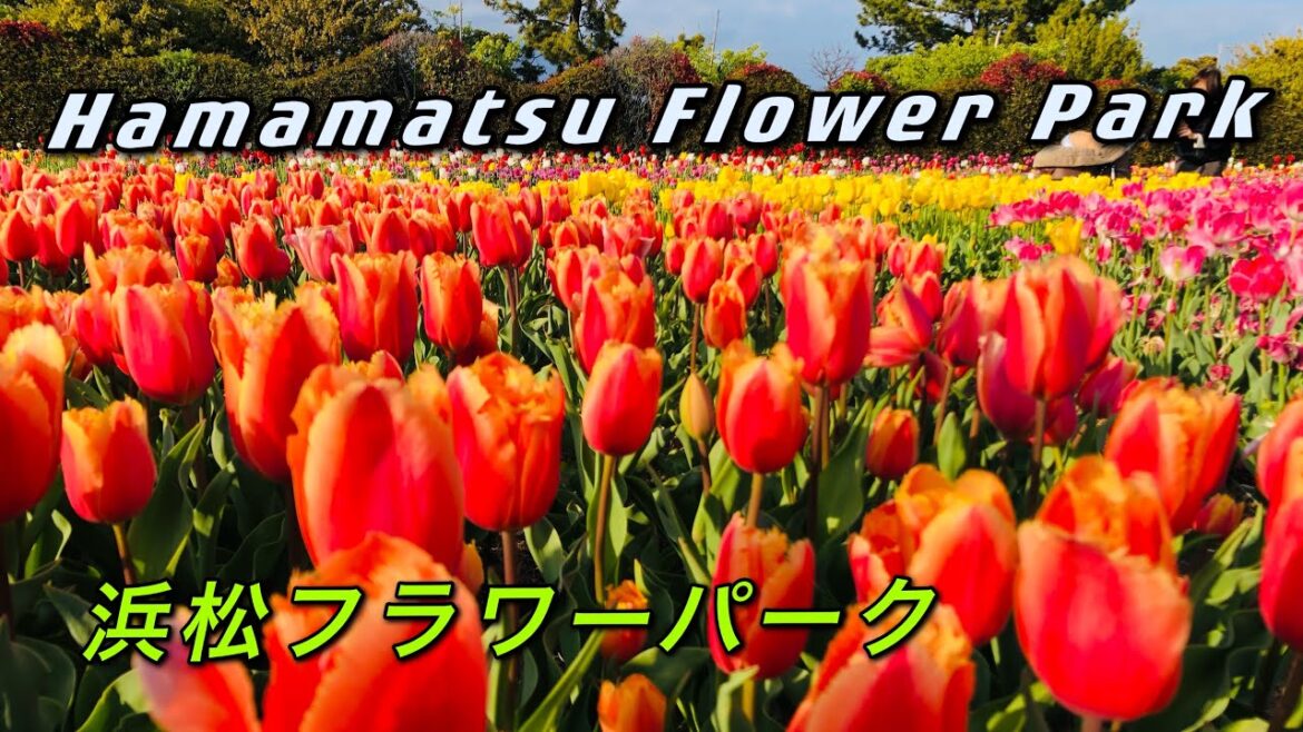 Hamamatsu Flower Park Japan 4K Video. Beautiful Train Ride. 浜松フラワーパーク Part 1