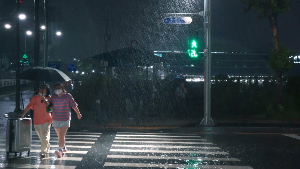Romantic Walking in the rain at Night. 비오는 여름밤, 천둥 번개가 오히려 낭만적입니다. 수면유도 빗소리