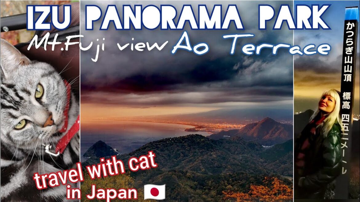 Japan travel with cat 😺🚡🐈 IZU PANORAMA PARK ⛩️🗻 AO TERRACE 🍁 Autumn leaves illumination by Adeyto
