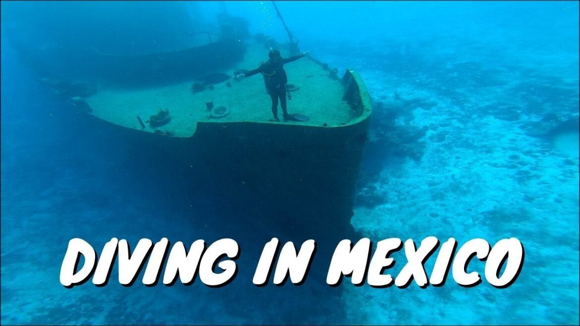 SCUBA DIVING IN MEXICO! | Mexico Diaries E2 SCUBA DIVING IN MEXICO! | Mexico Diaries E2