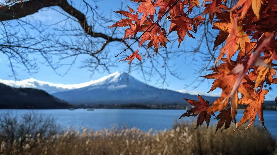 Mount Fuji-san cloud fight | Winter is coming | Christmas in Japan 2022