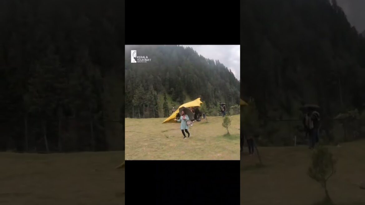 Kashmir Tour | Heaven on Earth | Kashmir Tour Packages | Osaka Group | #kashmir #kashmirtour Kashmir Tour | Heaven on Earth | Kashmir Tour Packages | Osaka Group | #kashmir #kashmirtour