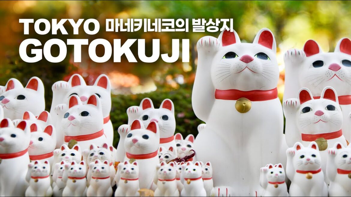 길운의 상징 마네키네코의 발상지인 도쿄 고토쿠지(豪德寺) 산책