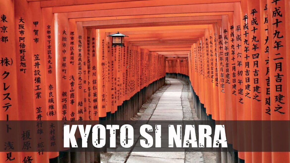 Kyoto and Nara - Japan’s Hidden Gems