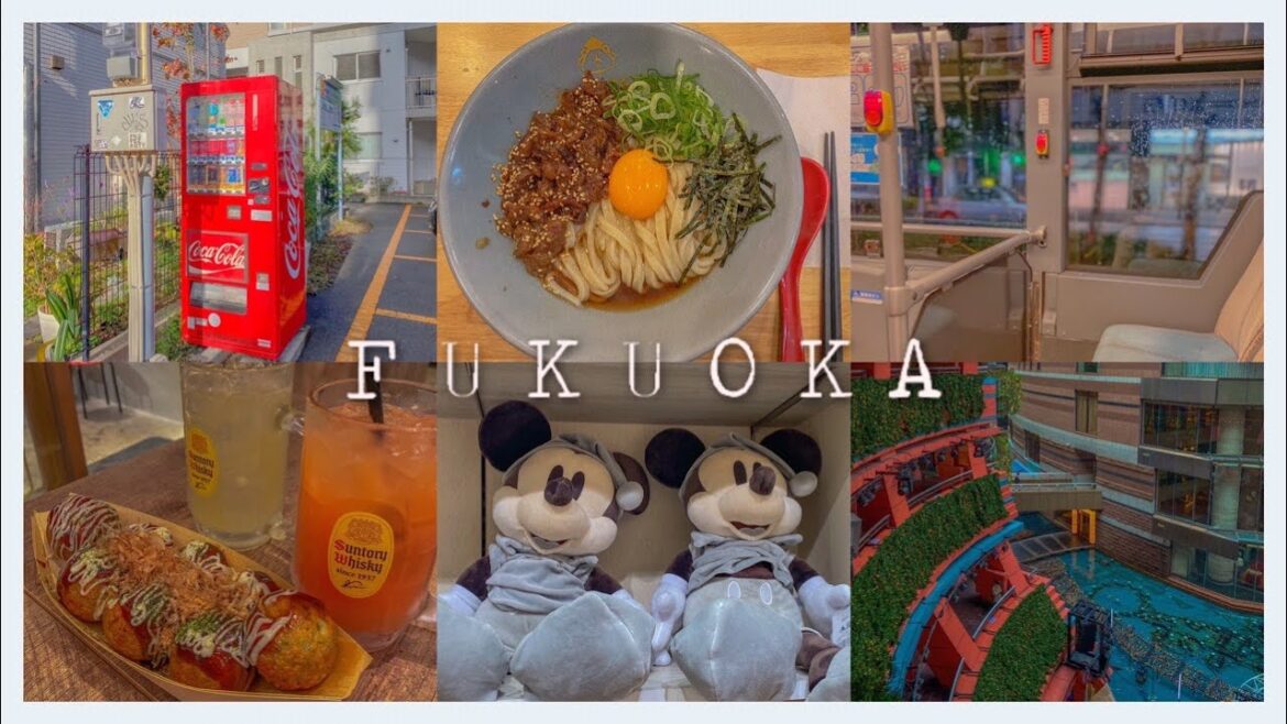 [vlog in FUKUOKA] 세번째 후쿠오카 여행✈️ #2 | 후쿠오카 맛집 | 이자카야 | 다코야키 | 캐널시티 | 카페 추천 | 에비스야 우동 | 프리쿠라 📸 | 하카타