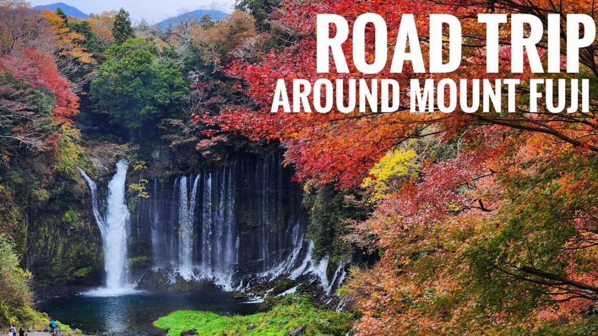 Weekend Road Trip to Fuji Five Lakes | 山梨と静岡紅葉遠征 Weekend Road Trip to Fuji Five Lakes | 山梨と静岡紅葉遠征