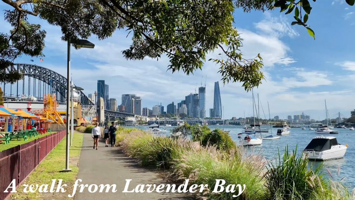 Walking tour from Lavender Bay to Milsons Point | Beautiful view of Sydney Harbour, Sydney Australia