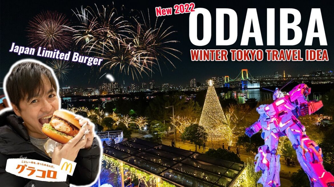 Tokyo Christmas Lights and Special Fireworks, Japan Limited McDonald's Burger Ep.376