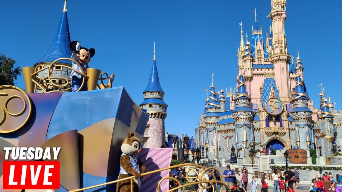 🔴 LIVE: December 6th Tuesday Morning at the Magic Kingdom for rides cavalcades and more