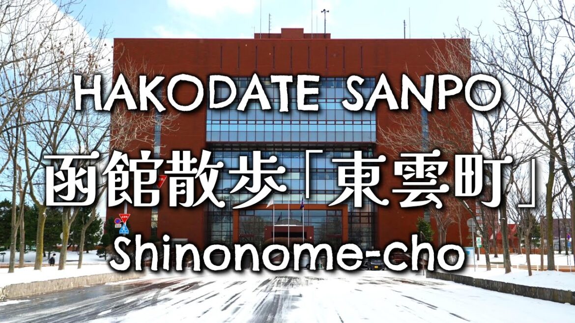 【函館散歩】東雲町(しののめちょう)をゆっくり散歩しました │ 雪の日常風景＜4K＞ Sony FX30 + SELP18105G