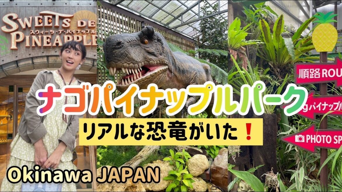 【ナゴパイナップルパーク/Nago Pineapple Park】カートでジャングル内を移動🚗💨💨