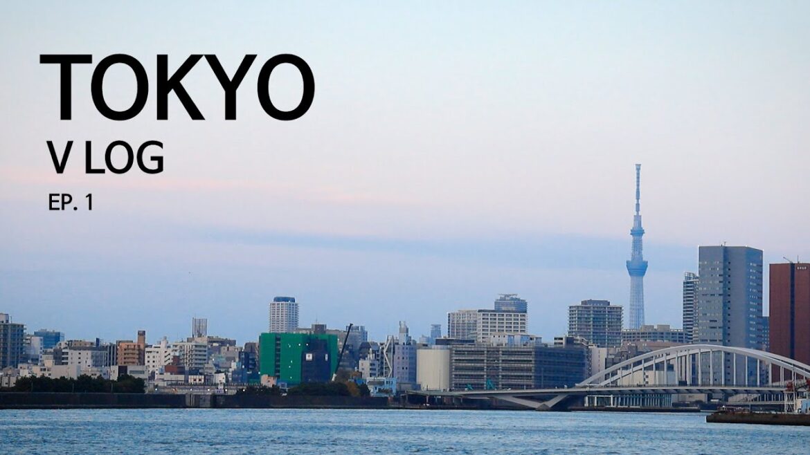 도쿄여행 | 도쿄&근교 9일 | Ep1 입국 / 시내이동 / 오다이바 수상버스 / 나리타공항
