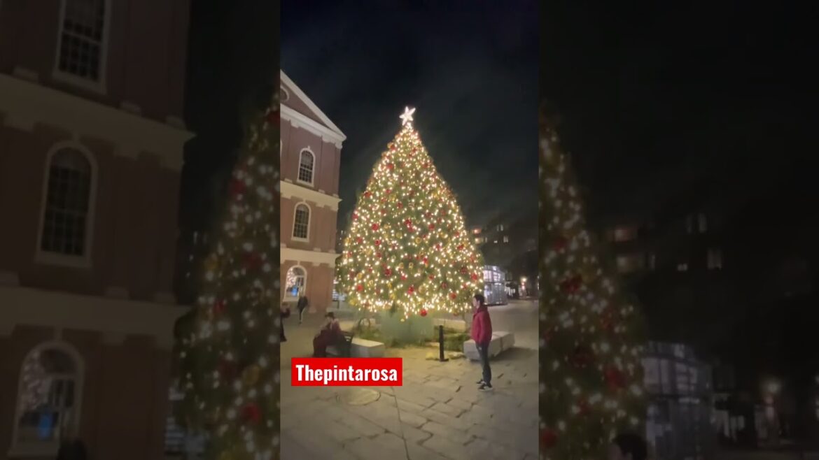 LLEGO LA NAVIDAD. #estanavidad #johnnyventura #elcaballomayor #repdominicana