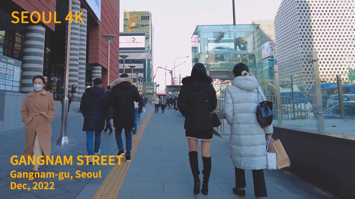 4K Seoul Winter Walk – Gangnam Station (Dec.2022) 4K Seoul Winter Walk - Gangnam Station (Dec.2022)