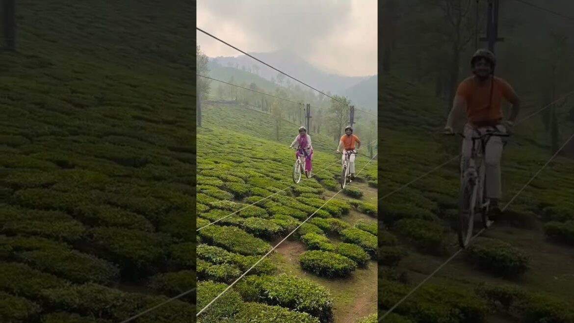 wayanad sky cycling 😱❤️😍😍 #travelling #india #travel #vlog #aesthetics wayanad sky cycling 😱❤️😍😍 #travelling #india #travel #vlog #aesthetics