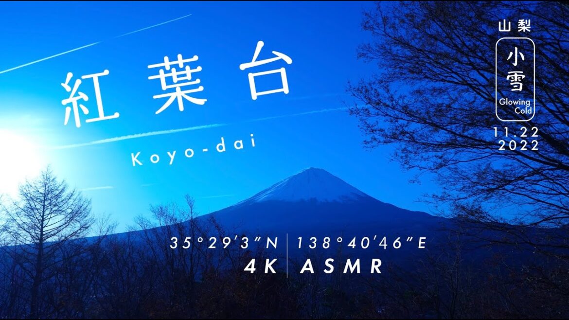 [Nature Sound & 4K Video] Autumn viewing platform in JPN / Relaxing Nature Video, ASMR /Glowing cold