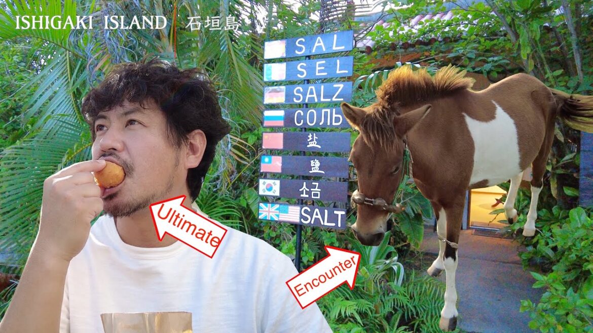 【中毒者続出】これを絶対に食べてはいけない｜石垣・八重山諸島の旅が始まる