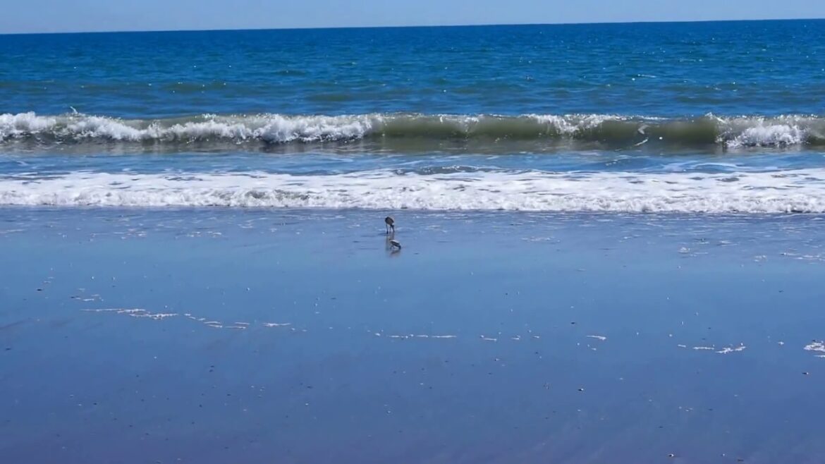 Relax to the Sounds of the Ocean on Your Spring Beach Vacation