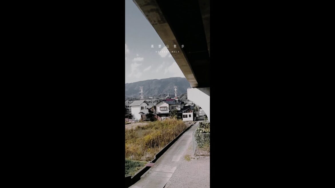 高野山散歩 極楽橋-橋本間 高野線 #shorts #relax #travel