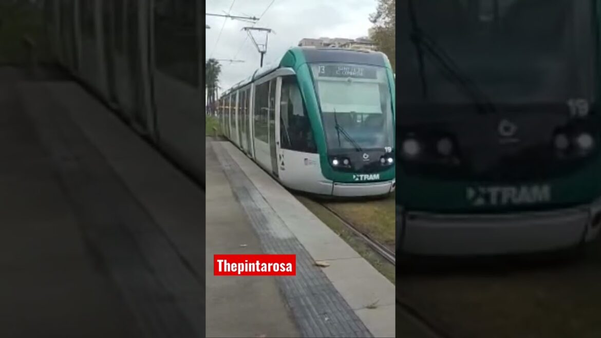 CHU CHU TREN. #elalfa #tranvía #barcelona #francescmacia #europa