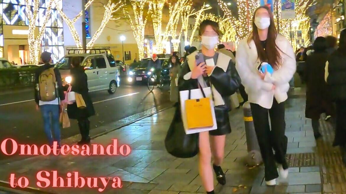 Omotesando to Harajuku Tokyo, in Japan night walking tour【4K】12.2022 Omotesando to Harajuku Tokyo, in Japan night walking tour【4K】12.2022
